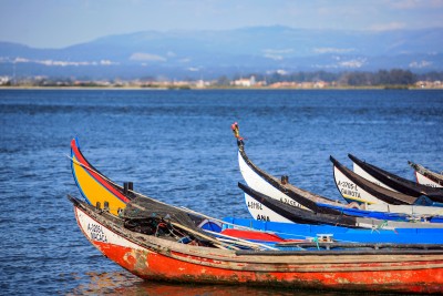 Bateiras tradicionais da Ria de Aveiro