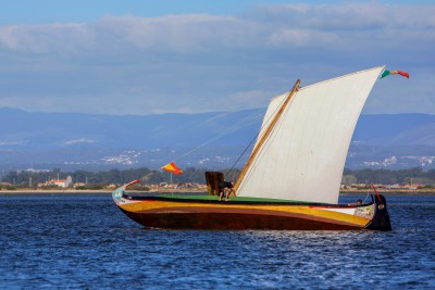 Regata de barcos  tradicionais "Moliceiros"