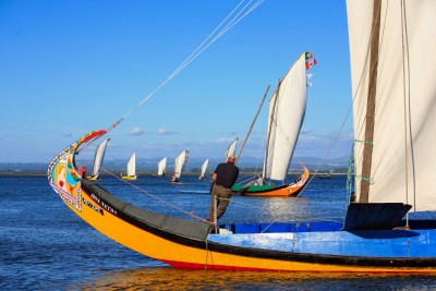 Regata de barcos tradicionais "Moliceiros"