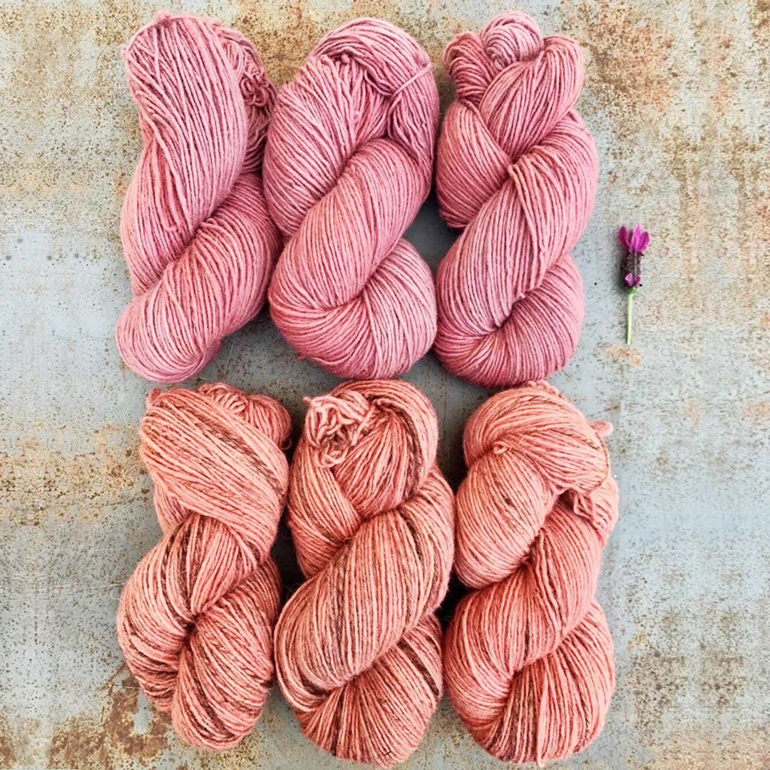 Fio Antónia Rosa Velho Serafina