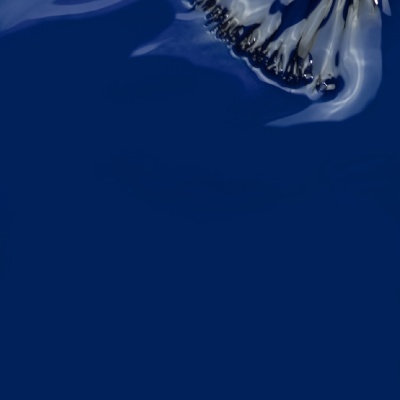 VERNIZ GEL INOCOS MARIA CAIXA DE ÓCULOS