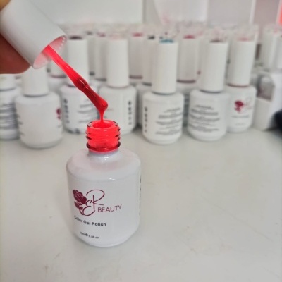 VERNIZ GEL COLORIDO  081