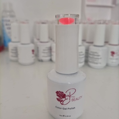 VERNIZ GEL COLORIDO  081