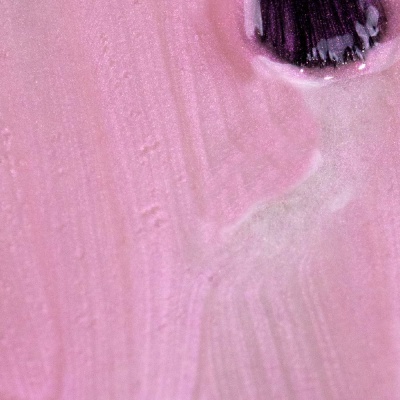 VERNIZ GEL INOCOS CINDERELA