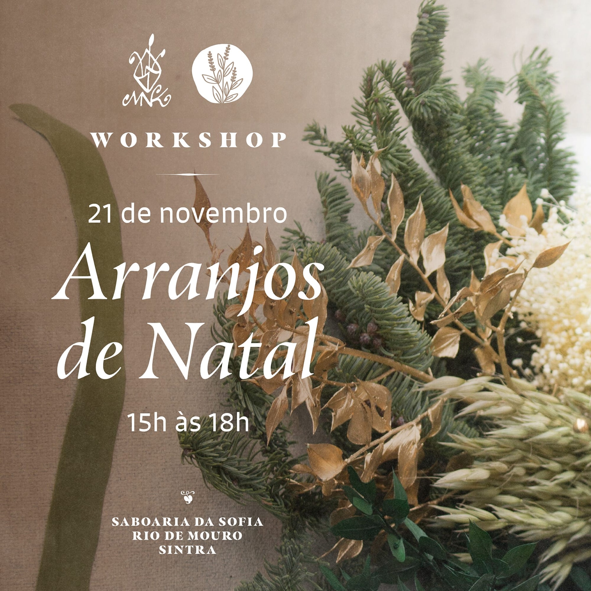 Workshop - Arranjos de Natal - 21/11/2026 (15h às 18h) Workshop - Arranjos de Natal - 21/11/2026 (15h às 18h)
