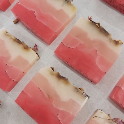 Workshop - Sabonetes naturais de glicerina - 18/04/2026 (15h às 18h)