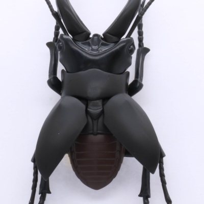 Living Thing Arc: Stag Beetle (set of 2)