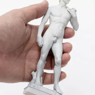 David Plastic Model