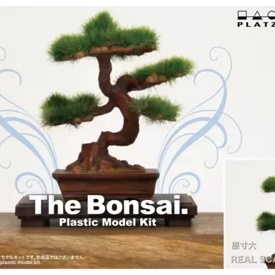 1/12 The Bonsai Plastic Kit #4