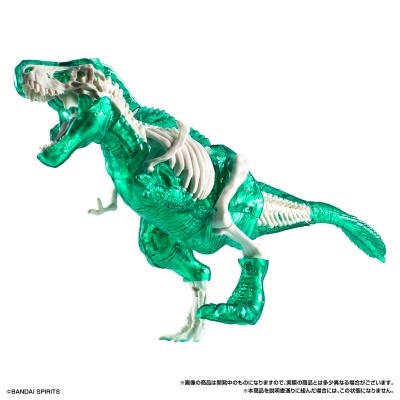 Plannosaurus BOX Tyrannosaurus Clear Green Ver.