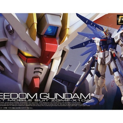 Real Grade Freedom Gundam