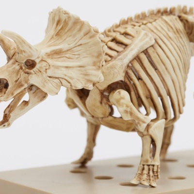 Plannosaurus Triceratops/Stegosaurus Plamo Marker Set