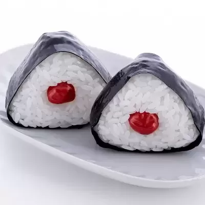 Onigiri Plastic Model