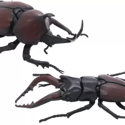 Living Creature Series: Stag Beetle vs. Japanese Rhinoceros Beetle Duel Set