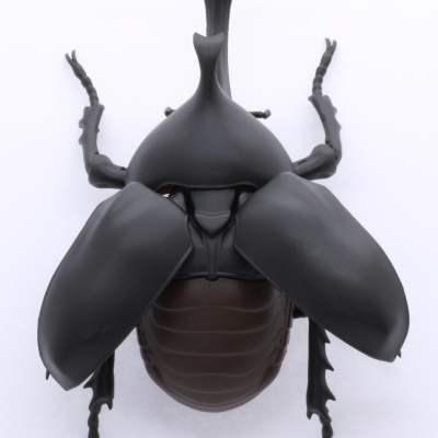 Living Thing Arc: Japanese Rhinoceros Beetle