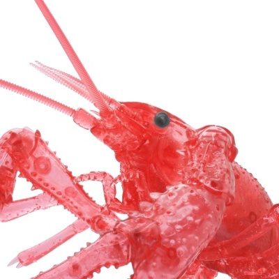 Living Thing Arc Procambarus Clarkii / Louisiana Crawfish (Clear Red)