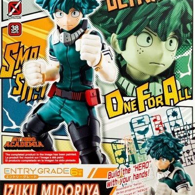 Entry Grade Izuku Midoriya