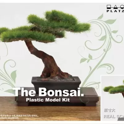 1/12 The Bonsai Plastic Kit #2