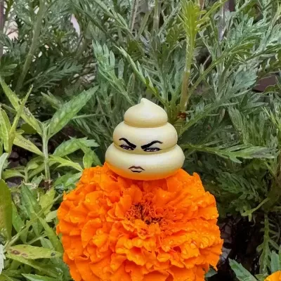 Puripura Poop Club Vol.1