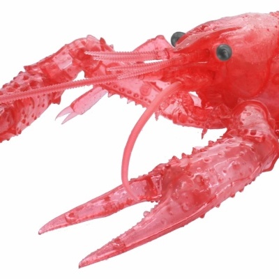 Living Thing Arc Procambarus Clarkii / Louisiana Crawfish (Clear Red)
