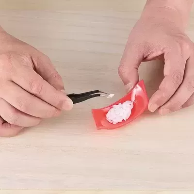 1/1 Sushi Plastic Model: Tuna