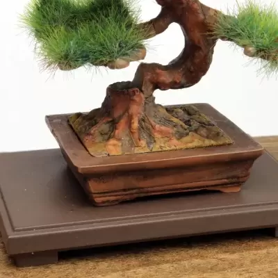 1/12 The Bonsai Plastic Kit #4