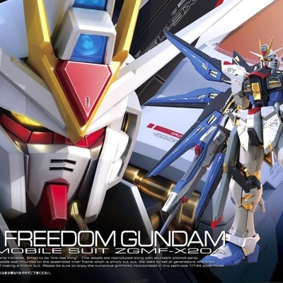 Real Grade ZGMF-X20A Strike Freedom Gundam