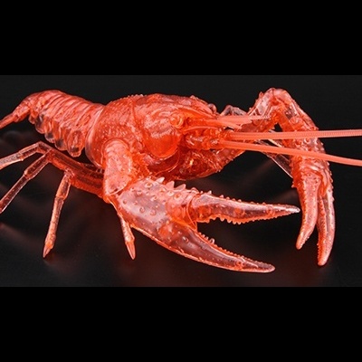 Living Thing Arc Procambarus Clarkii / Louisiana Crawfish (Clear Red)