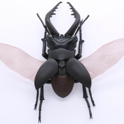 Living Thing Arc: Stag Beetle (set of 2)