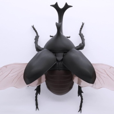 Living Thing Arc: Japanese Rhinoceros Beetle