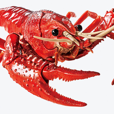 Creature Arc Procambarus Clarkii / Louisiana Crawfish (Red)