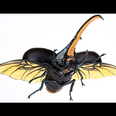 Ikimono Hen Dynastes Hercules (Hercules Beetle)