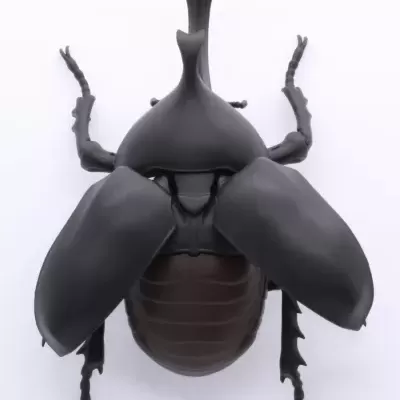 Living Creature Series: Stag Beetle vs. Japanese Rhinoceros Beetle Duel Set