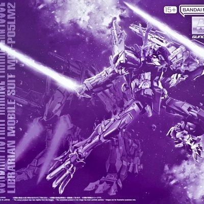 P-Bandai Master Grade MG 1/100 MBF-P05LM2 Gundam Astray Mirage Frame 2nd Issue