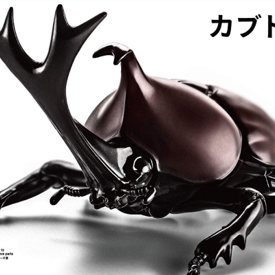 Living Thing Arc: Japanese Rhinoceros Beetle