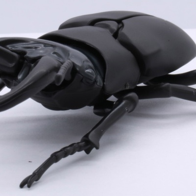 Living Thing Arc: Stag Beetle (set of 2)