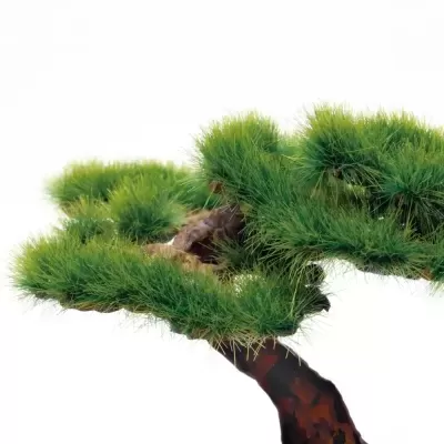 1/12 The Bonsai Plastic Kit #2