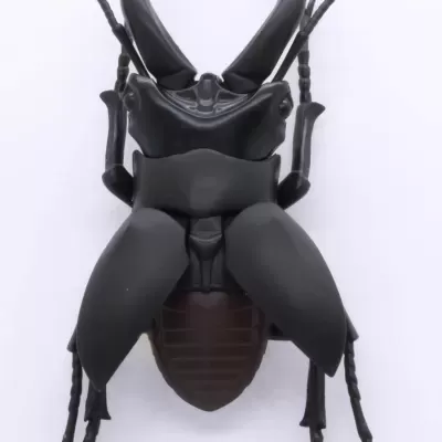 Living Creature Series: Stag Beetle vs. Japanese Rhinoceros Beetle Duel Set
