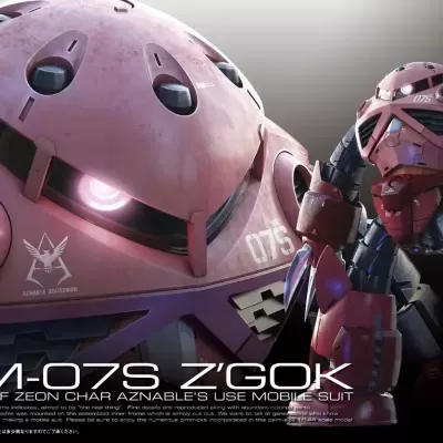 Real Grade RG 1/144 MSM-07S Z’Gok