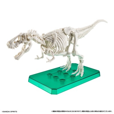 Plannosaurus BOX Tyrannosaurus Clear Green Ver.