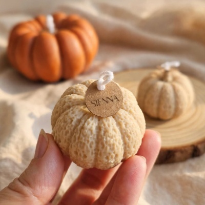 Vela | Little Pumpkin