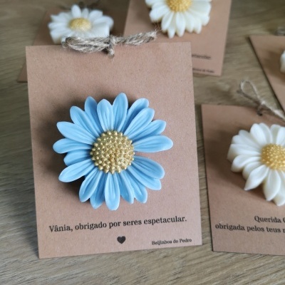 Malmequer de cera | Wax melt