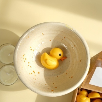 Edição especial - The Duck Mood Set