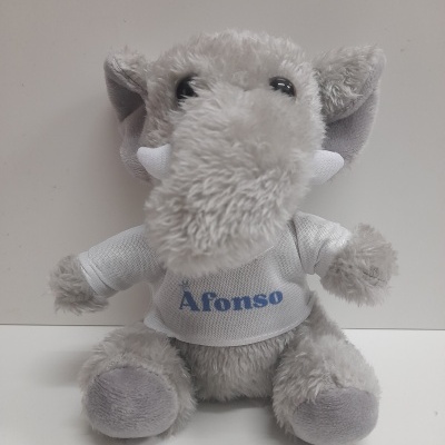 Peluche personalizado