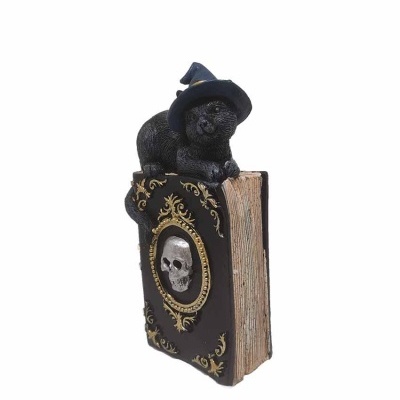 Gato bruxo em cima de livro mágico