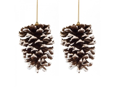 Pack 2 pinhas brancas