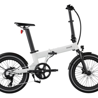 EOVOLT AFTERNOON 20"