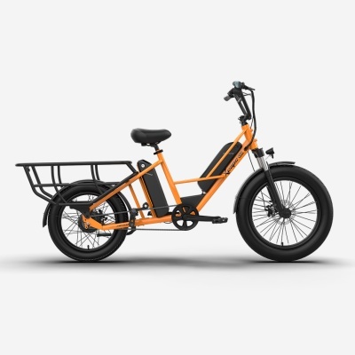 E- Bike G1 CARGO BIKE