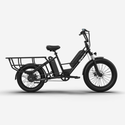 E- Bike G1 CARGO BIKE