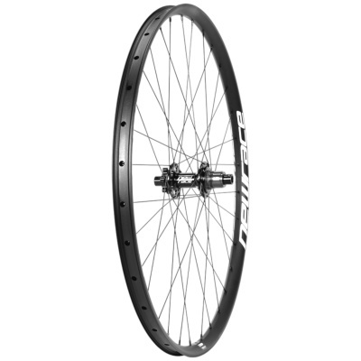 New Race - Comp